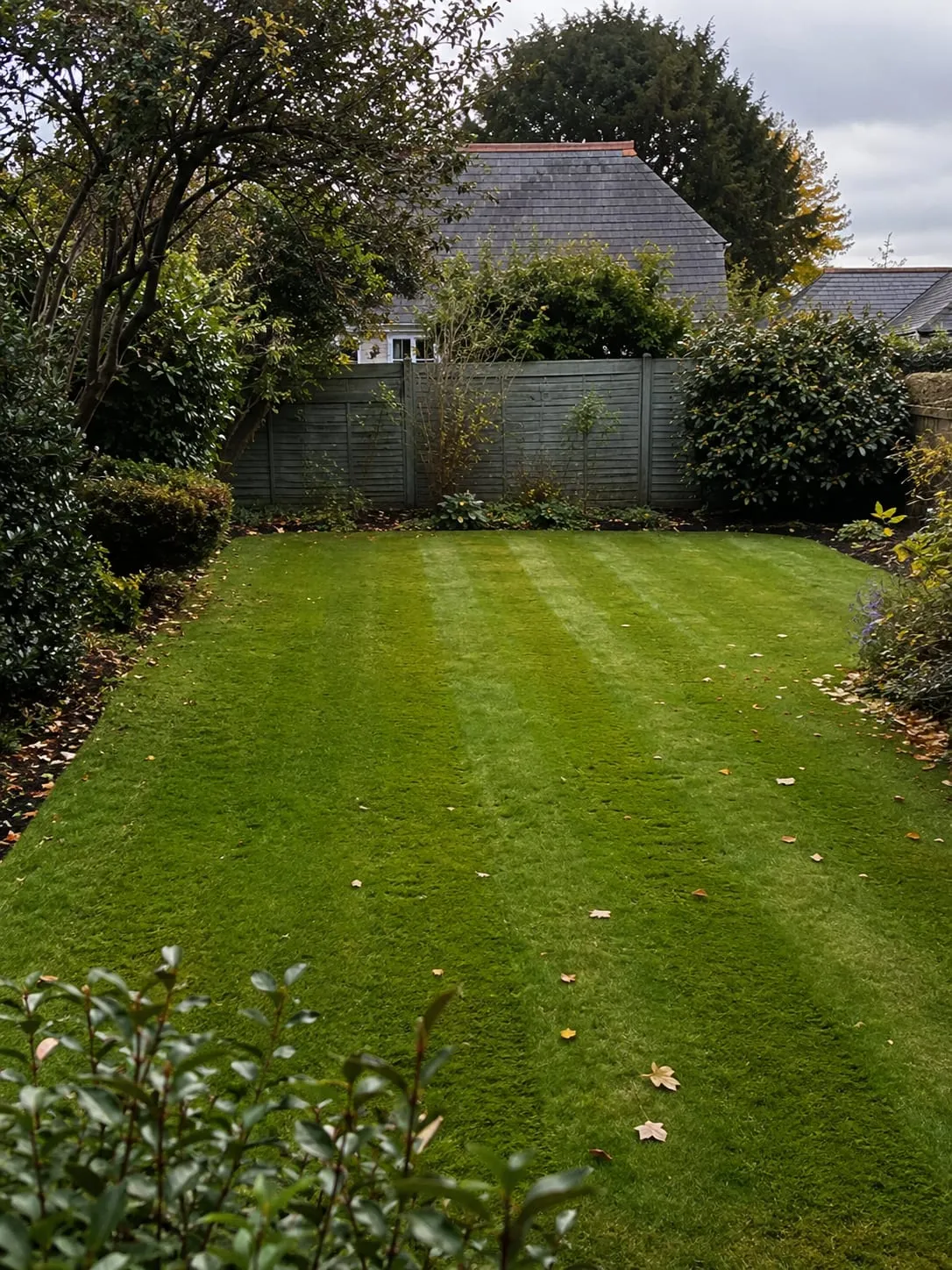A freshly striped lawn at the end of October, borders cut back for winter and a scattering of fallen leaves at the edges.